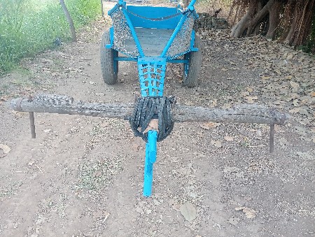 થંબનેલ 2