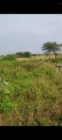 વેચવા ની છે