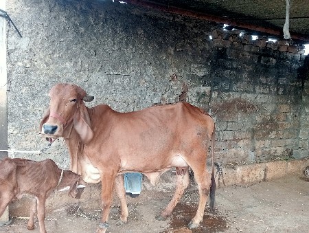 थंबनेल 3