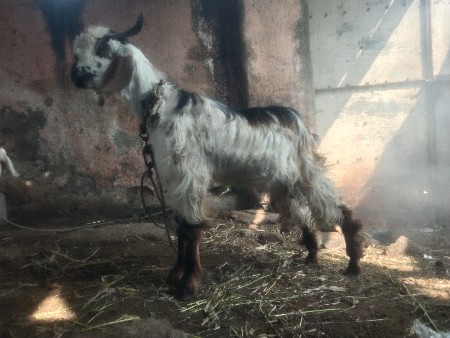 थंबनेल 2