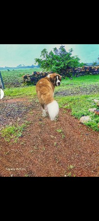 મીટિંગ માટે મળો