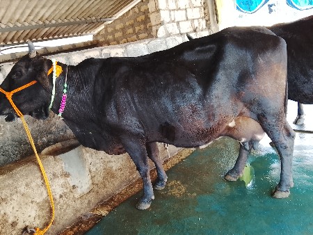 थंबनेल 2