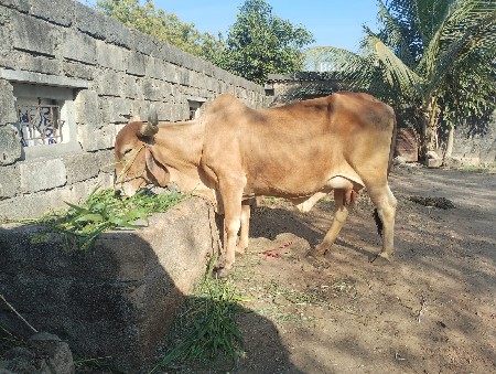 थंबनेल 3