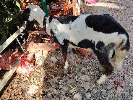 થંબનેલ 2