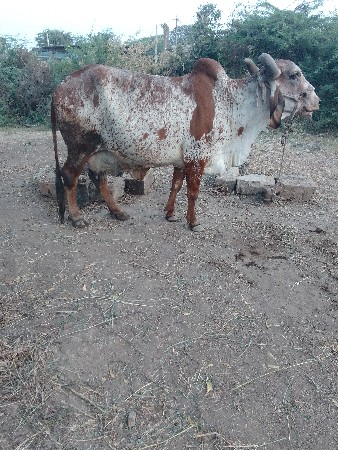 थंबनेल 3