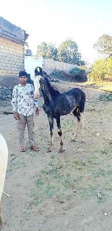 थंबनेल 2