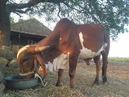 थंबनेल 2