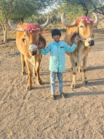 દેવભૂમિ દ્વારકા જિલ્લો