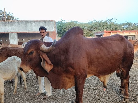 थंबनेल 2