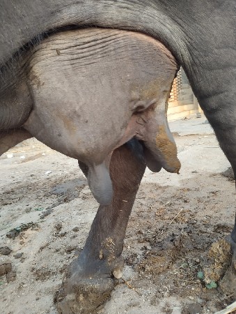 थंबनेल 2