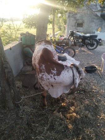 थंबनेल 3