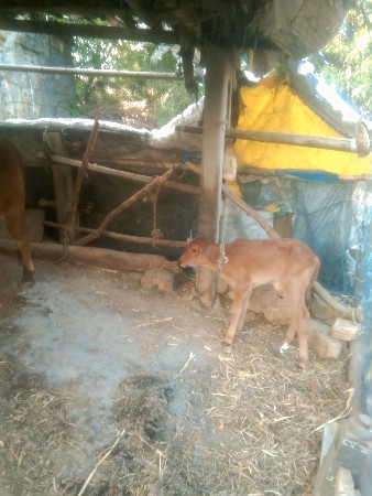 थंबनेल 3