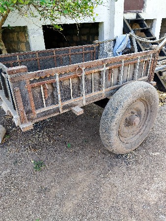 થંબનેલ 1