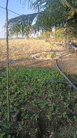 જમીન ભાડે આપવાની સે