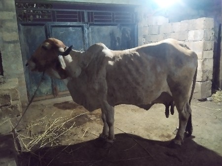 थंबनेल 2