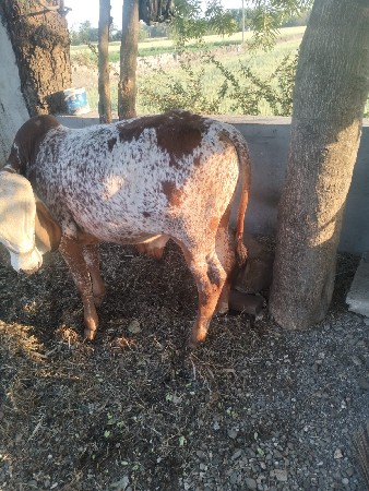 थंबनेल 2