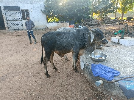 थंबनेल 3