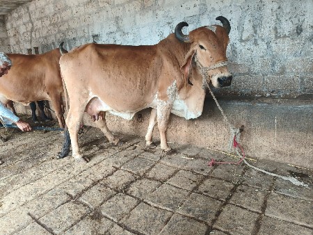 थंबनेल 2