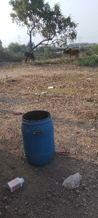 બળદ વેશવાના છે