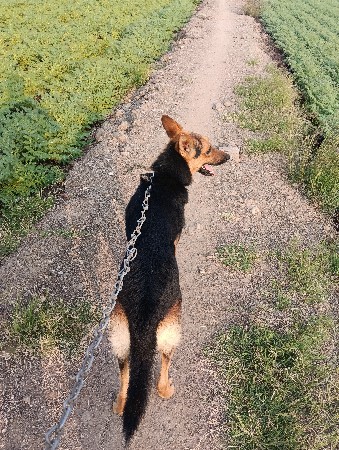 थंबनेल 3