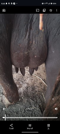 थंबनेल 1