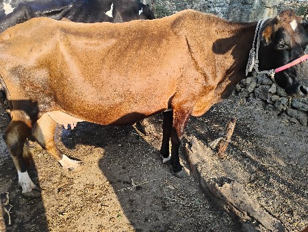 थंबनेल 2