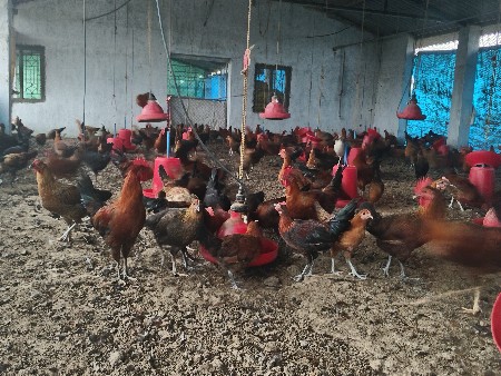 થંબનેલ 3