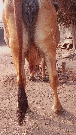 थंबनेल 2