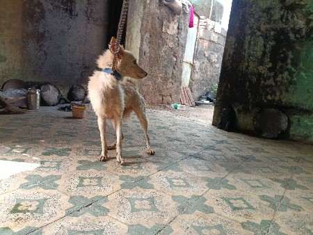 थंबनेल 3