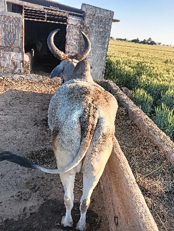 थंबनेल 3