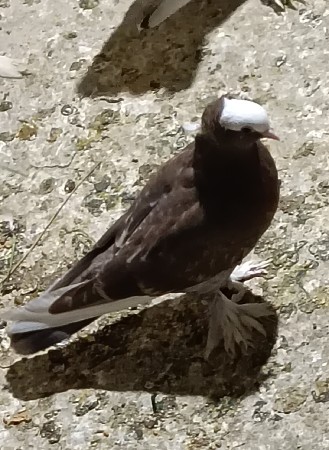 थंबनेल 3