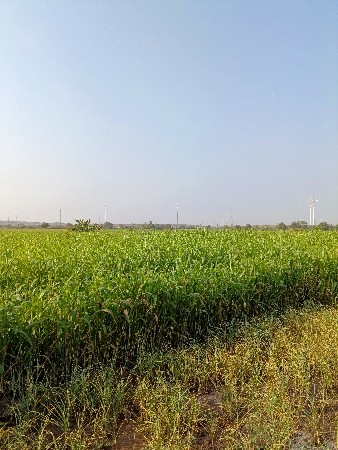 थंबनेल 2