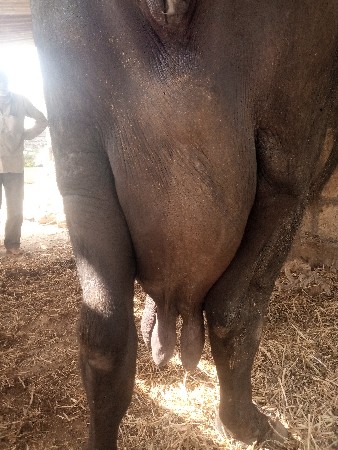 थंबनेल 3