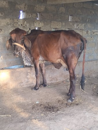 थंबनेल 2