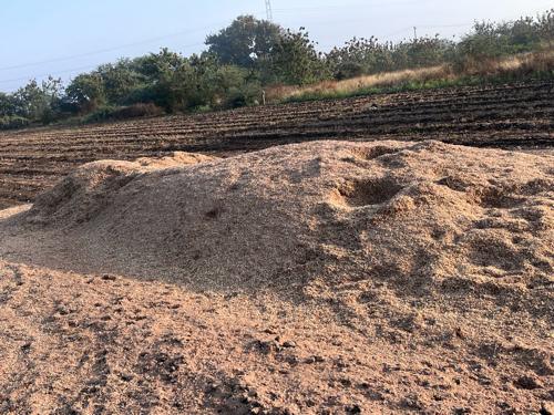 Khariyu vechavanu che chana nu