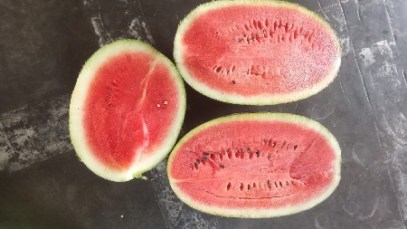 થંબનેલ 3