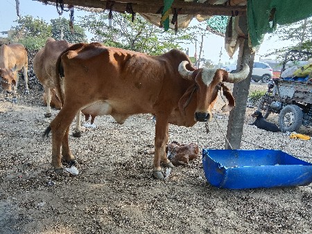 थंबनेल 2