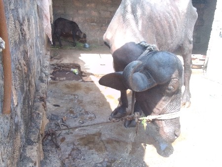 थंबनेल 3