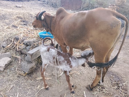 थंबनेल 2