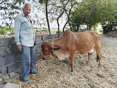 थंबनेल 3