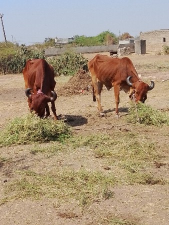 દ્વારકા જિલ્લો તાલુકો
