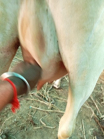 थंबनेल 2