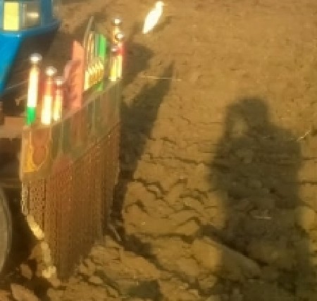 ટ્રેક્ટર નુ