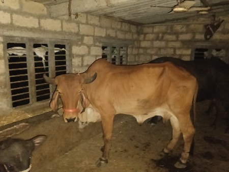 थंबनेल 2