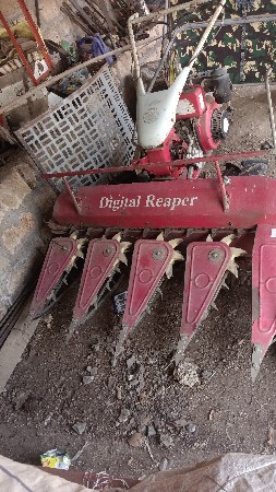 3 વીઘા  ના તલ વાઢેલાછેફકત નવુજ