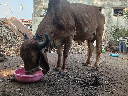 थंबनेल 3