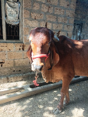 थंबनेल 2