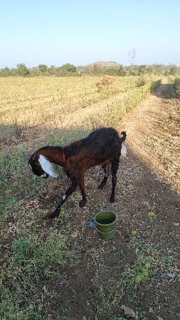 थंबनेल 3