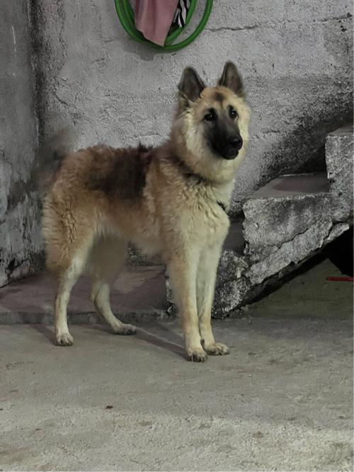 थंबनेल 3