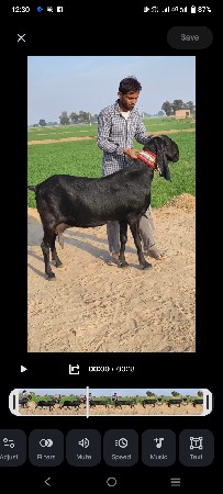 916351192536...9974611107